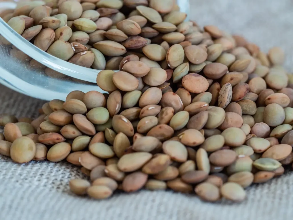Lentils
