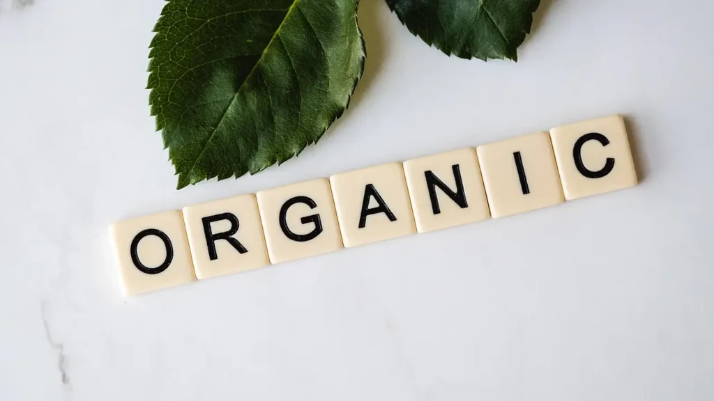 7-Day Weekly Vegetarian Plan for Busy Professionals