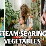 Steam-Searing Vegetables: The Oil-Free Hack Chefs Are Using in 2025-healthyeatstoday.com