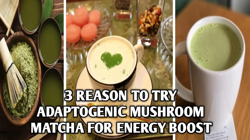 3 Reasons to Try Adaptogenic Mushroom Matcha for Energy & Immunity Boost-healthyeatstoday.com