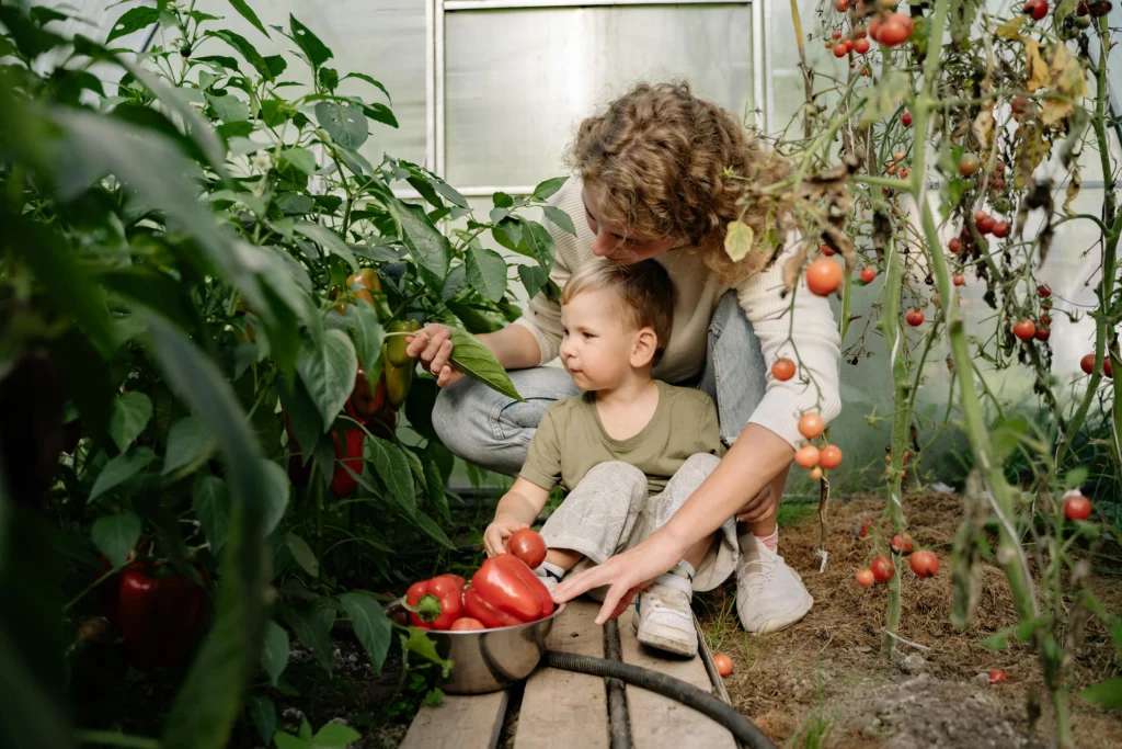 Seasonal Produce Profiles: Perfect Picks for Steam-Searing Vegetables
