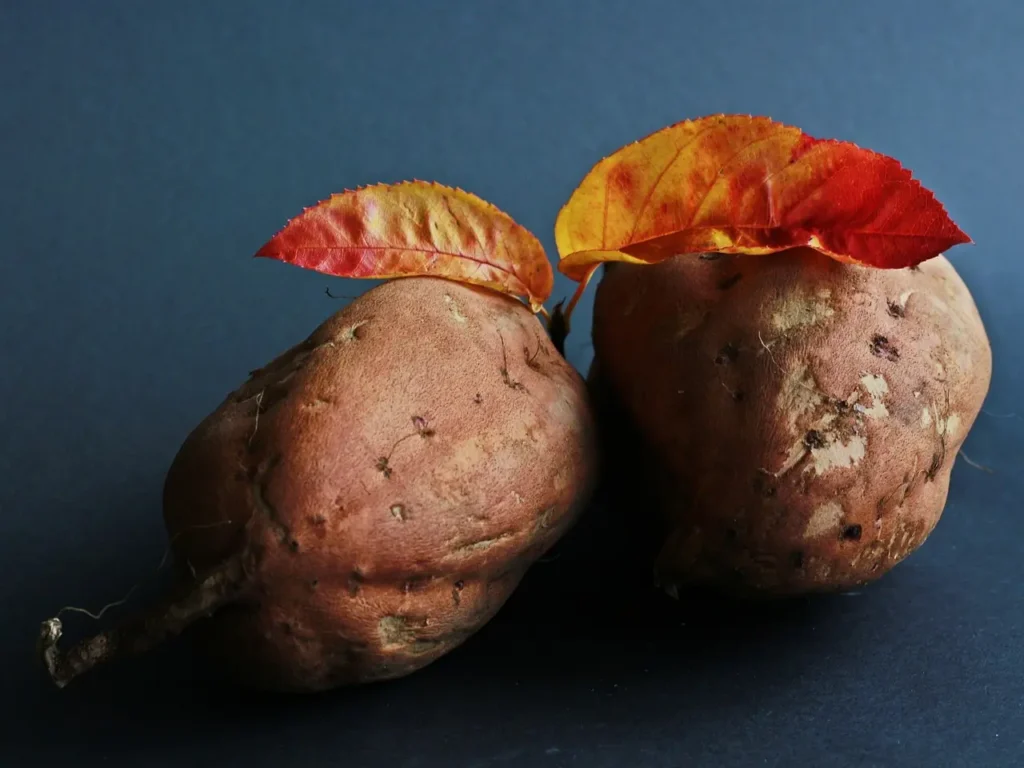 Autumn Immunity-Boosting Vegetarian Recipes: Anti-Inflammatory Vegetarian Recipes & Vegetarian Immune System Recipes 🍂